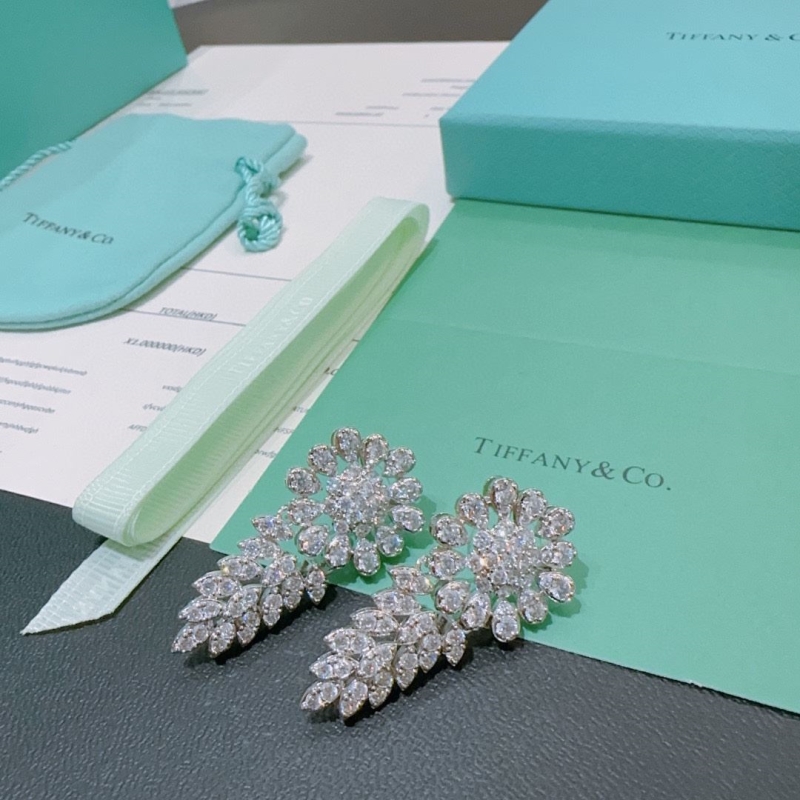 T*f*ny earrings